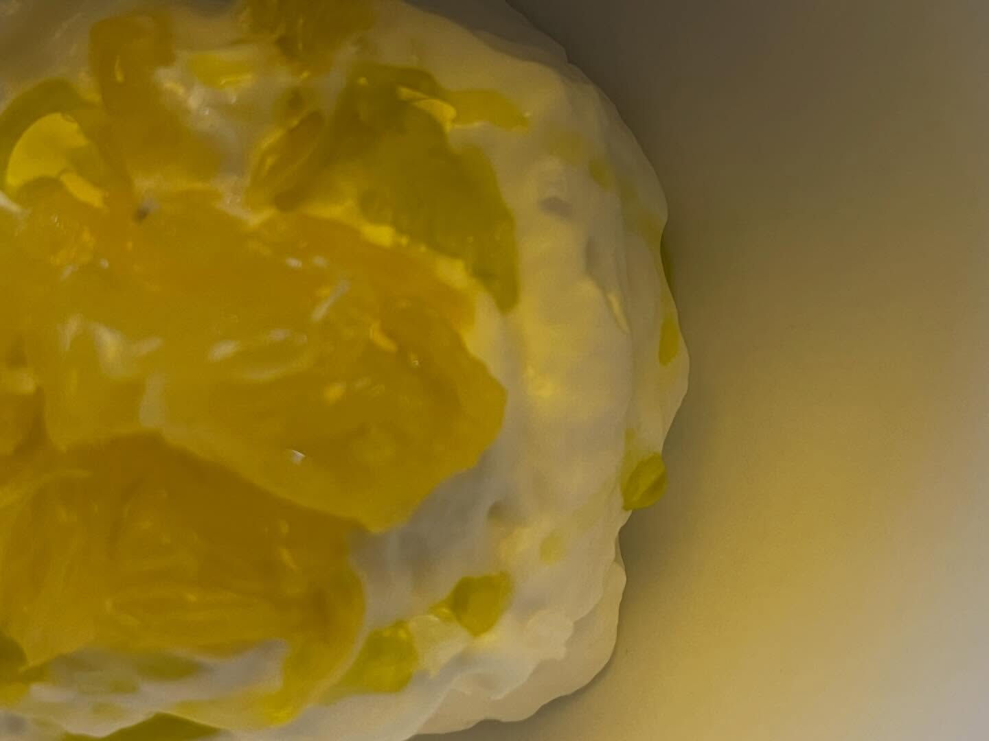 『新玉葱料理』