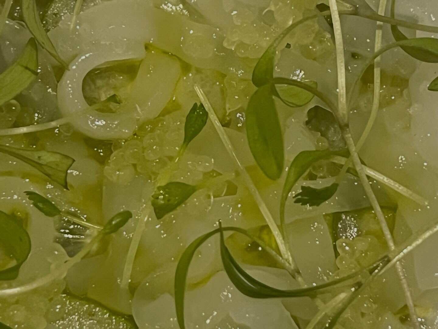 『続.来月の偏愛食材』